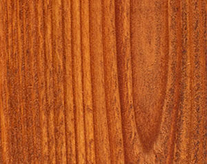 Transparent Fence Cedar Tone